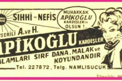 apikoglu2-Cumhuriyet-1964