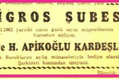 apikoglu_1963-Cumhuriyet