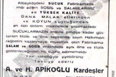 apikoglu_milliyet-1961