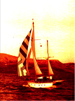 suheyl-gurbaskan